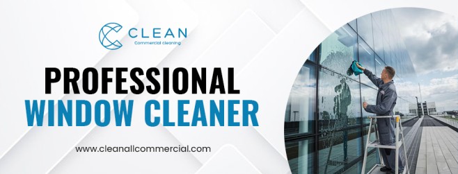 professional window cleaner
