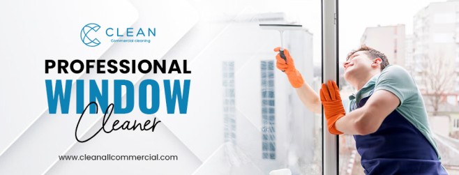 professional window cleaner