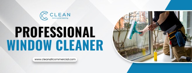 Professional Window Cleaner