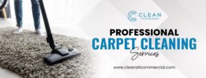 Professional Carpet Cleaning Services