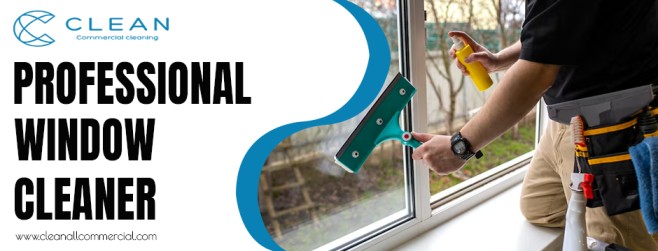 Professional Window Cleaner