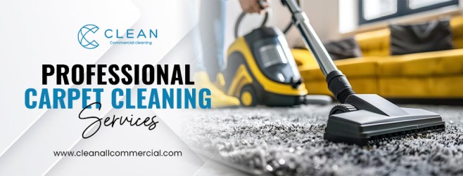 Professional Carpet Cleaning Services