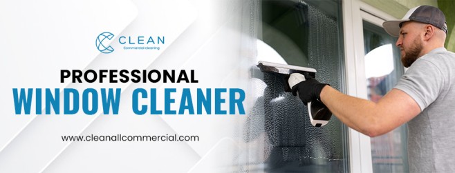 professional window cleaner