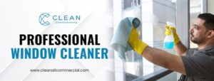 Professional Window Cleaner